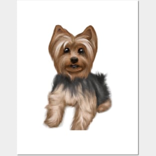 Cute Yorkshire Terrier Drawing Posters and Art